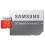 Samsung EVO PLUS microSDXC 256Gb Class 10 UHS-I (100/90MB/s)